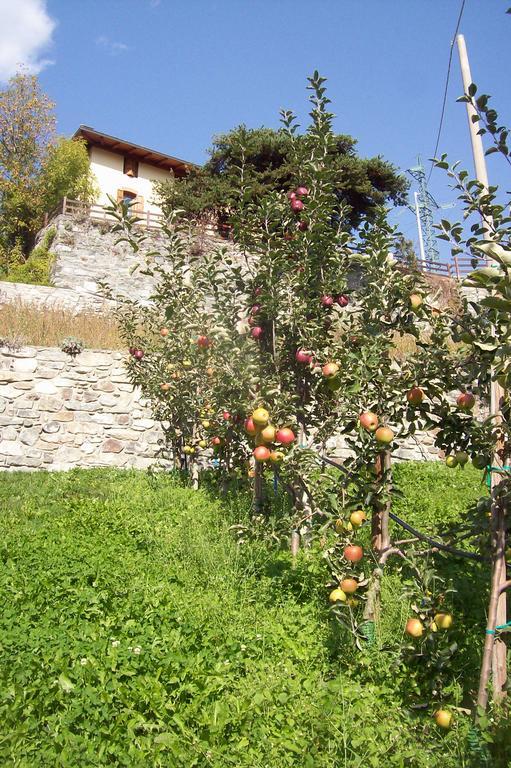 Agriturismo Au Jardin Fleuri Antey-Saint-André Esterno foto
